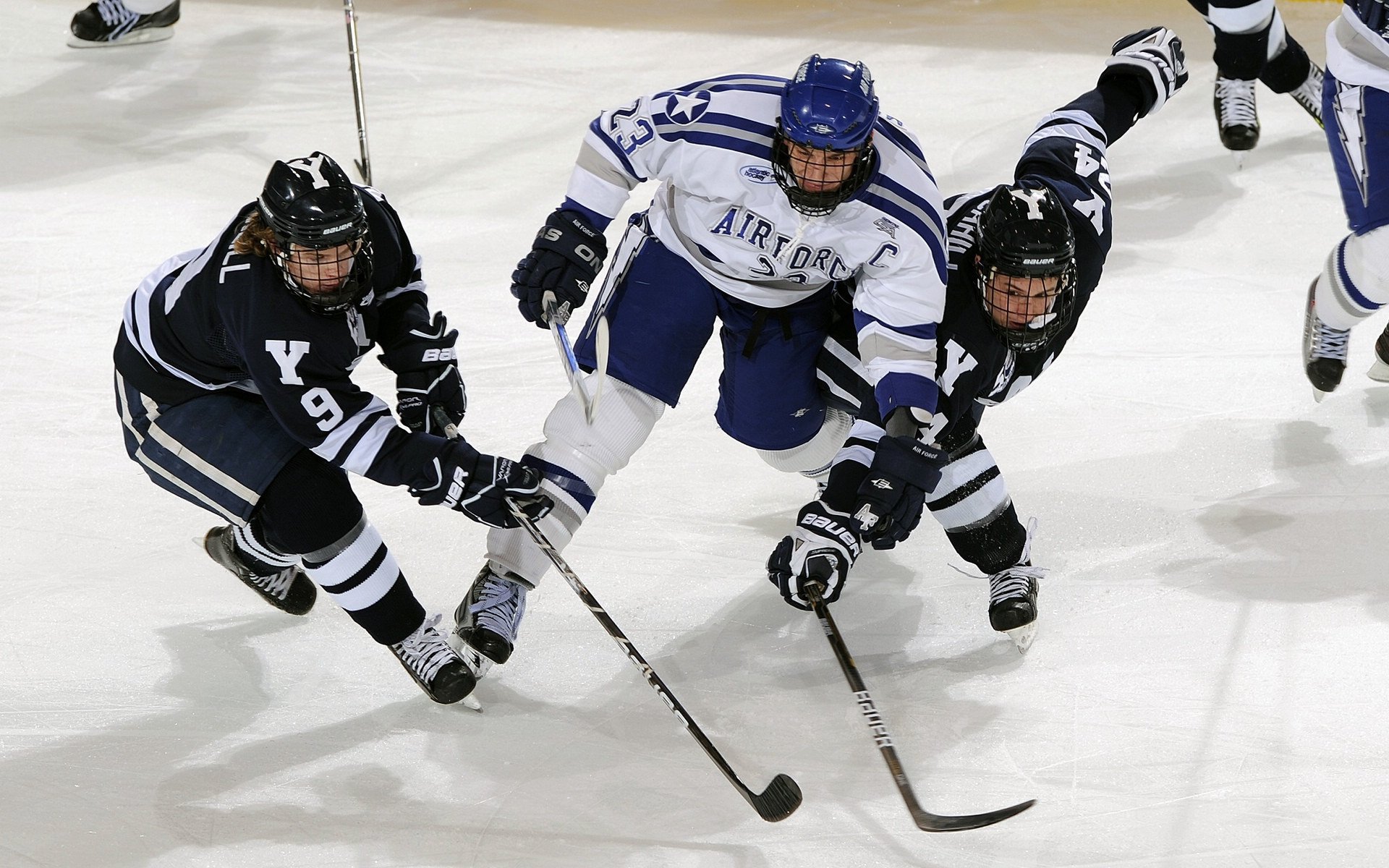 双子星组合哪对效率最高,双子星lv