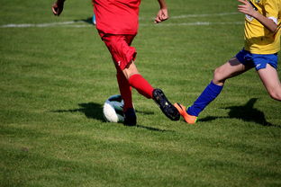 mk体育官网入口-中国足球俱乐部与国际知名足球学院合作，中国足球俱乐部和国家队