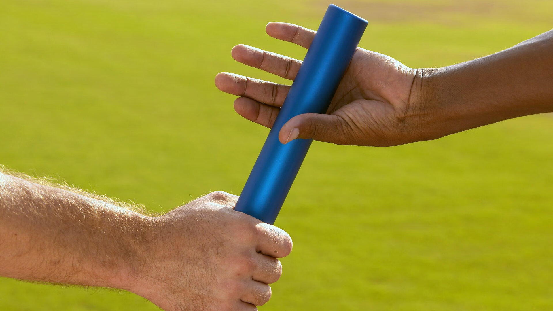 战队全员档案页面上线展示详细资料与荣誉，战队成员